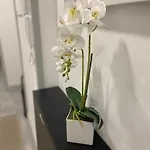Casa Rocha 公寓