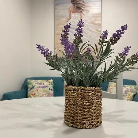 Casa Rocha Apartment Pinhão