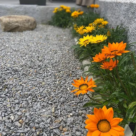 Casa Rocha ピニョン