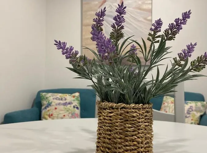 Casa Rocha Apartment Pinhao