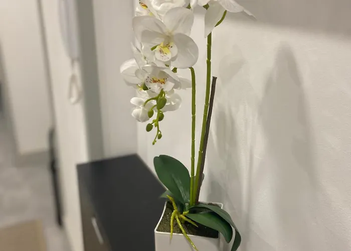 Casa Rocha Apartment