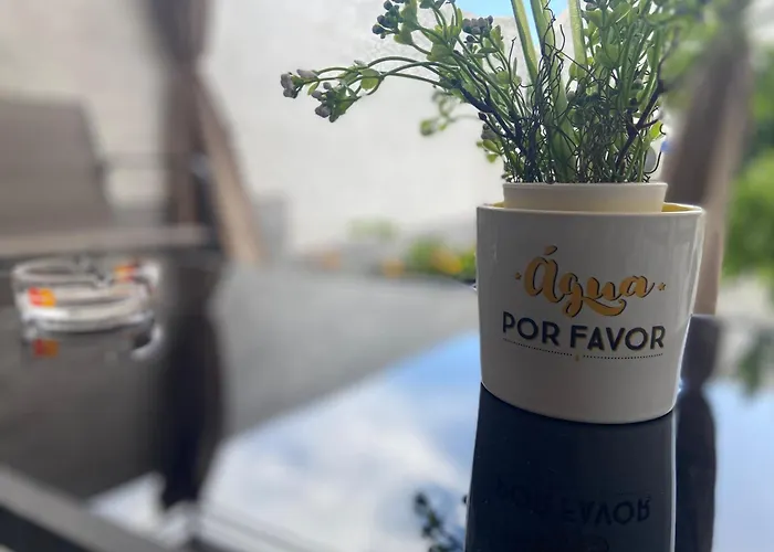 Apartment Casa Rocha